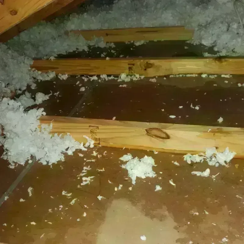 Attic Water Damage in Seattle, WA