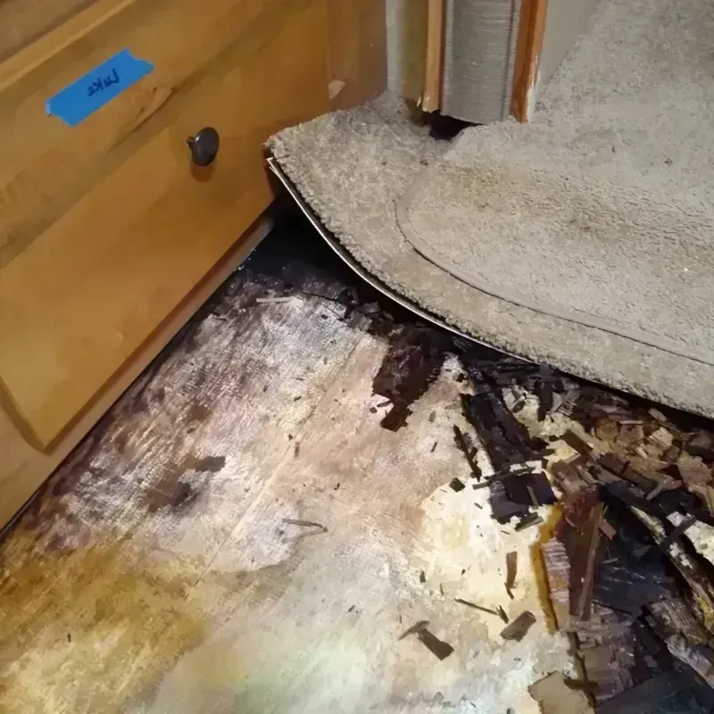 Best Wood Floor Water Damage Service in Seattle, WA